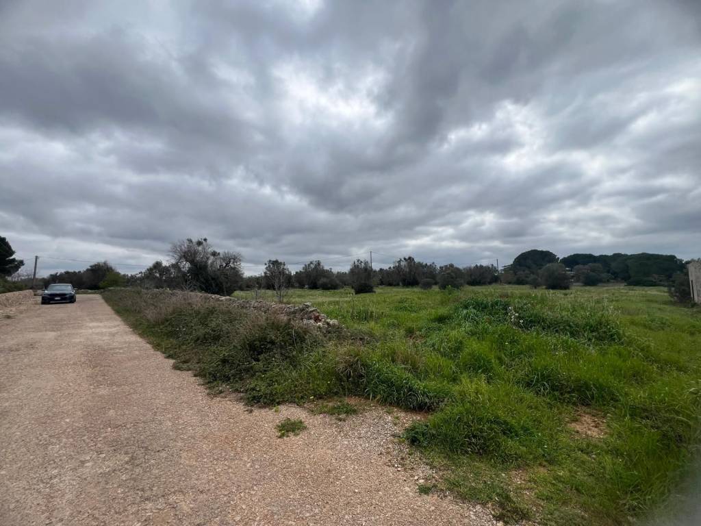 Terreno a Manduria in Contrada Schiavone - Foto 4