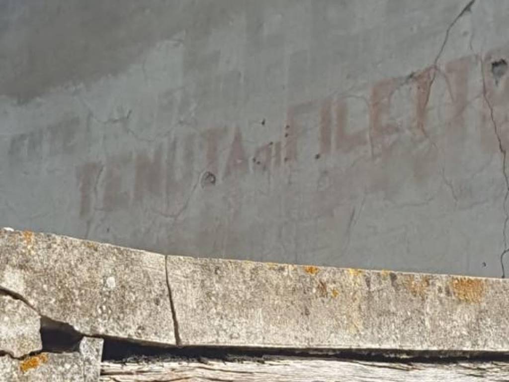 Terreno a Campo nell'elba in Via Filetto - Foto 5