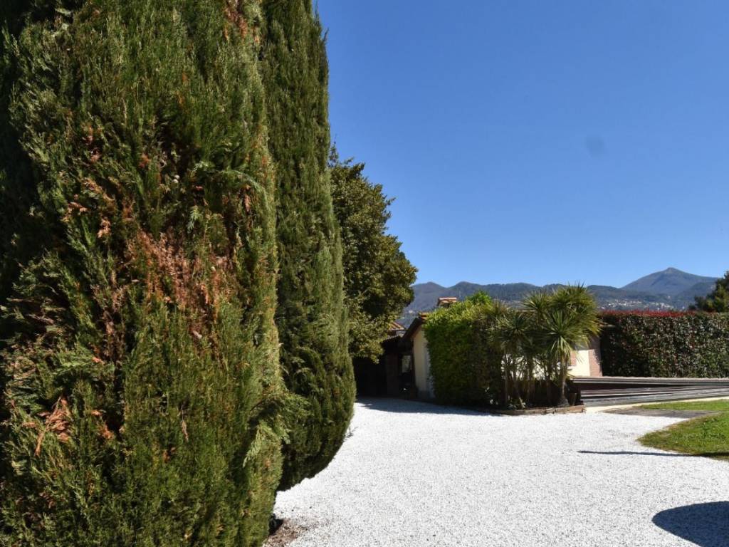 Villa a Pietrasanta - Foto 4