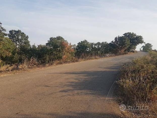 Terreno a Acquaviva delle fonti - Foto 2