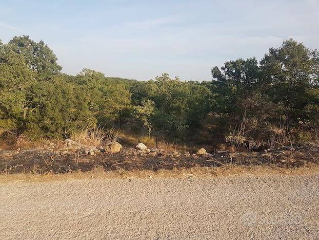 Terreno a Acquaviva delle fonti - Foto 3