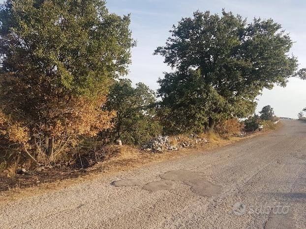 Terreno a Acquaviva delle fonti - Foto 4