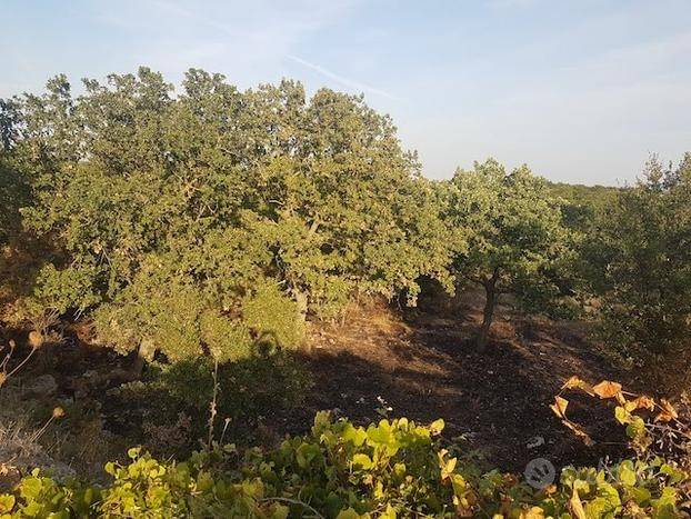 Terreno a Acquaviva delle fonti - Foto 5