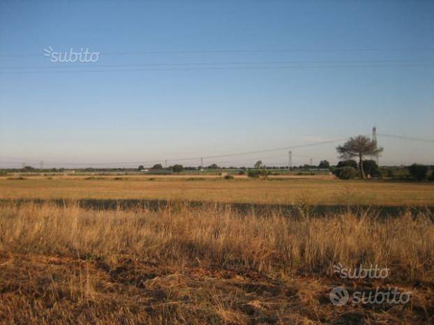 Terreno a Grottaglie - Foto 4