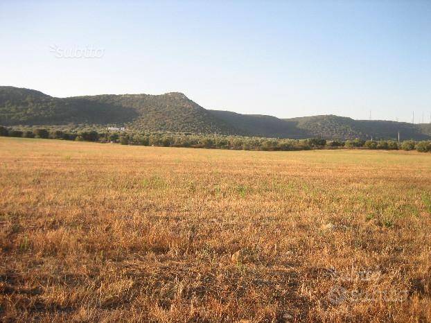 Terreno a Grottaglie - Foto 5