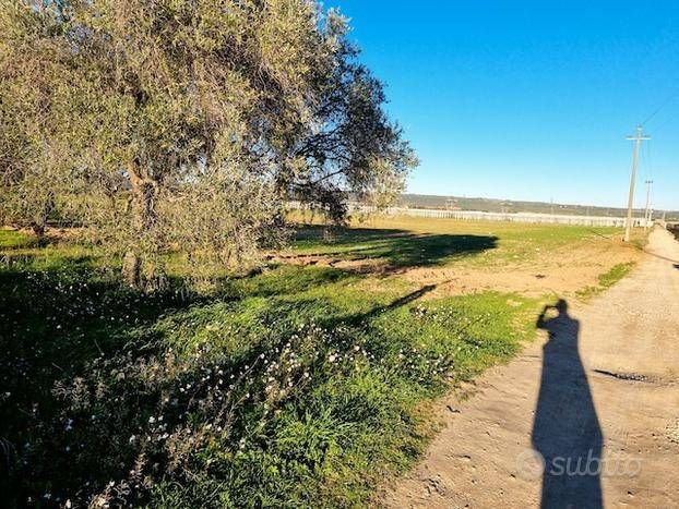 Terreno a Grottaglie - Foto 2