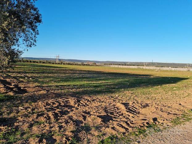 Terreno a Grottaglie - Foto 4