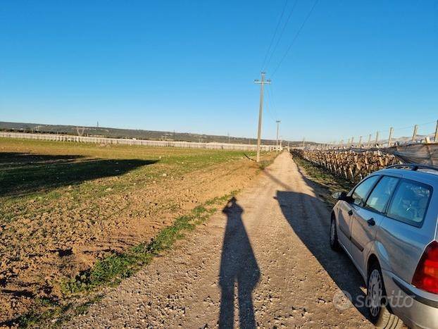 Terreno a Grottaglie - Foto 5