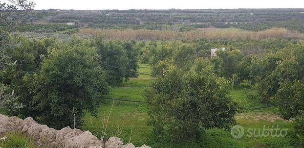 Terreno a Massafra - Foto 2