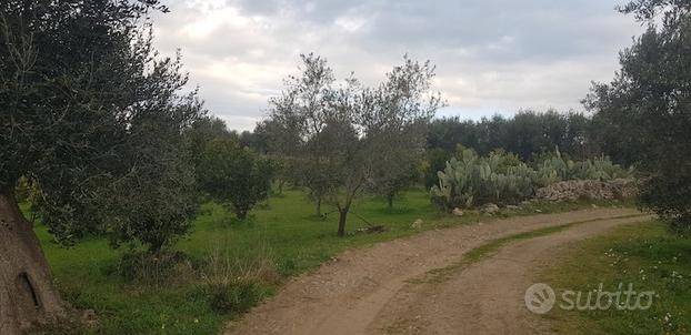 Terreno a Massafra - Foto 3