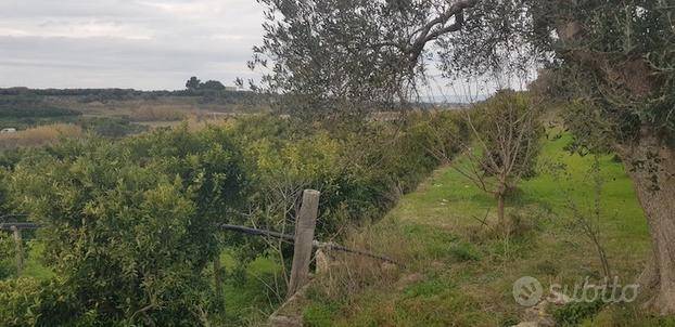 Terreno a Massafra - Foto 4