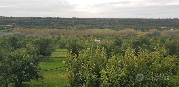 Terreno a Massafra - Foto 5