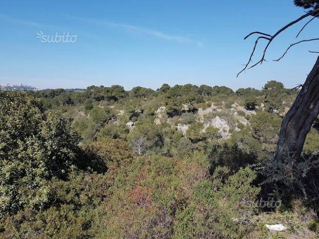 Terreno a Massafra - Foto 2