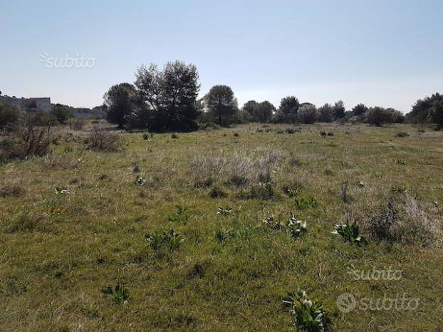 Terreno a Massafra - Foto 3