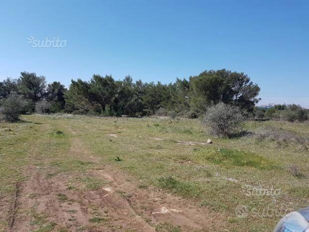 Terreno a Massafra - Foto 4