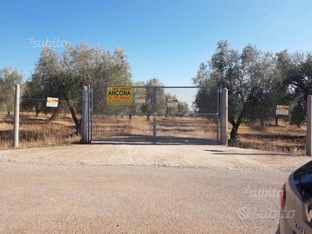 Terreno a Massafra - Foto 2