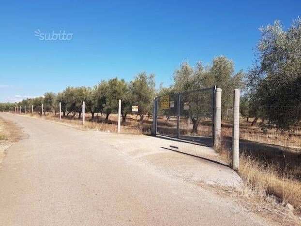 Terreno a Massafra - Foto 4