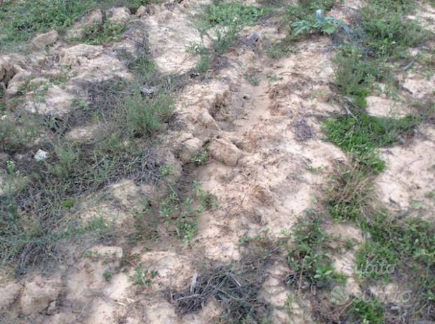 Terreno a Brindisi - Foto 2