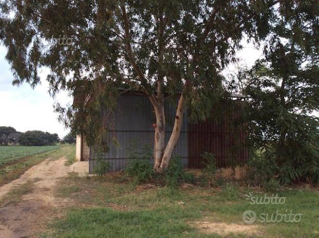 Terreno a Brindisi - Foto 3