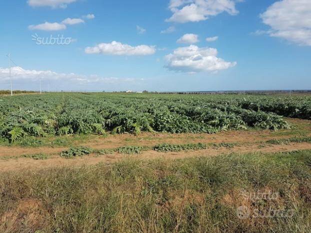 Terreno a Matera - Foto 3