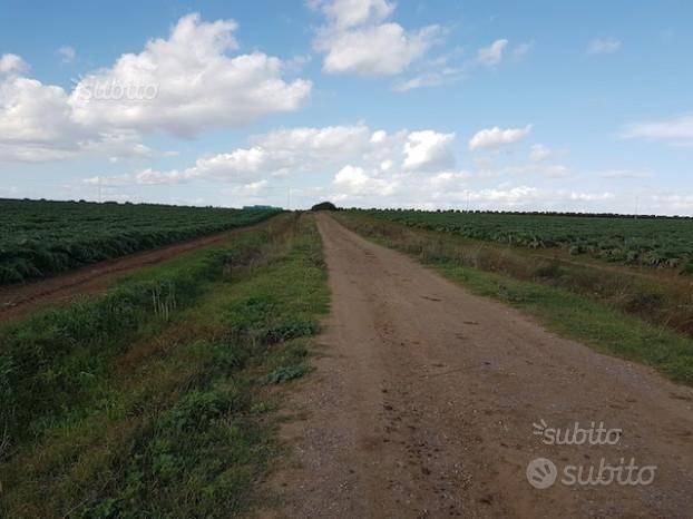 Terreno a Matera - Foto 4