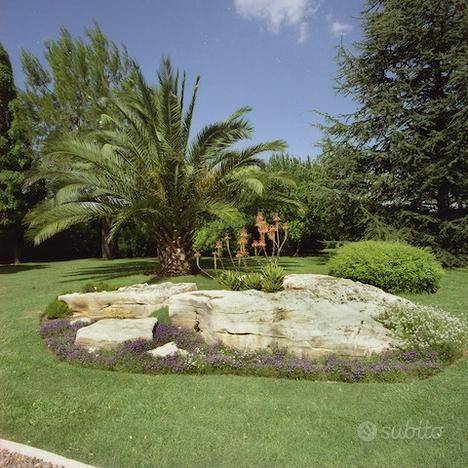 Terreno a Gioia del colle - Foto 5