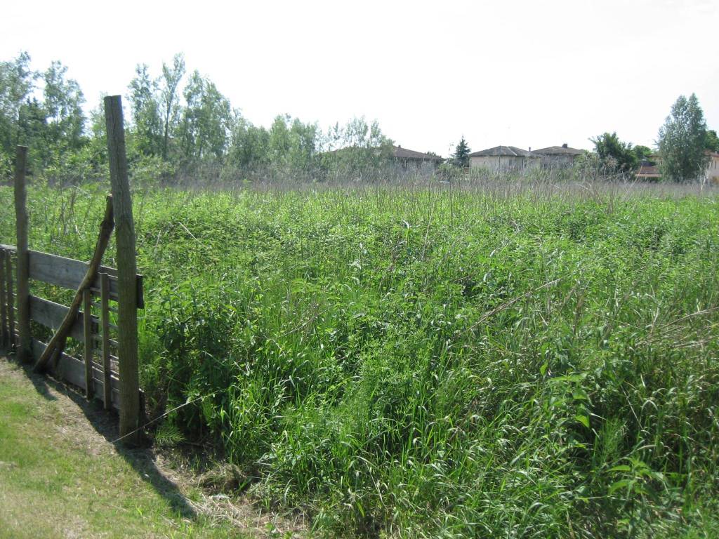 Terreno a Porto viro in Corso Risorgimento, 25 - Foto 2