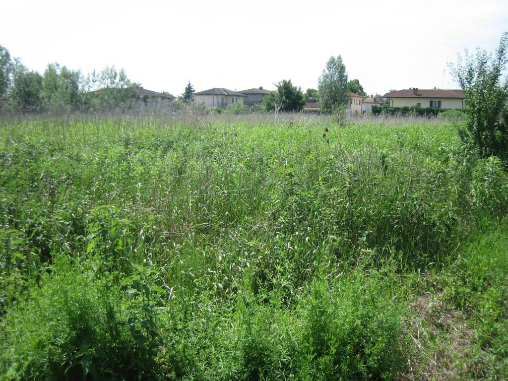 Terreno a Porto viro in Corso Risorgimento, 25 - Foto 4