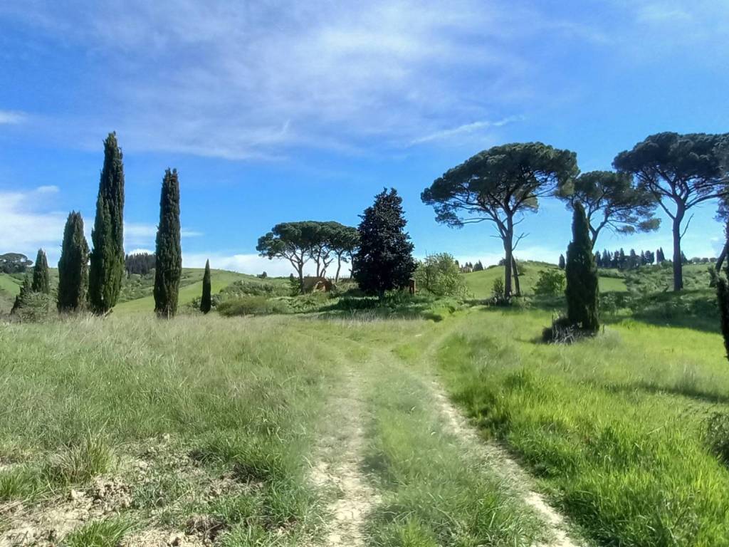 Rustico / casale a Castelfiorentino in Via di Spranganelli - Foto 2