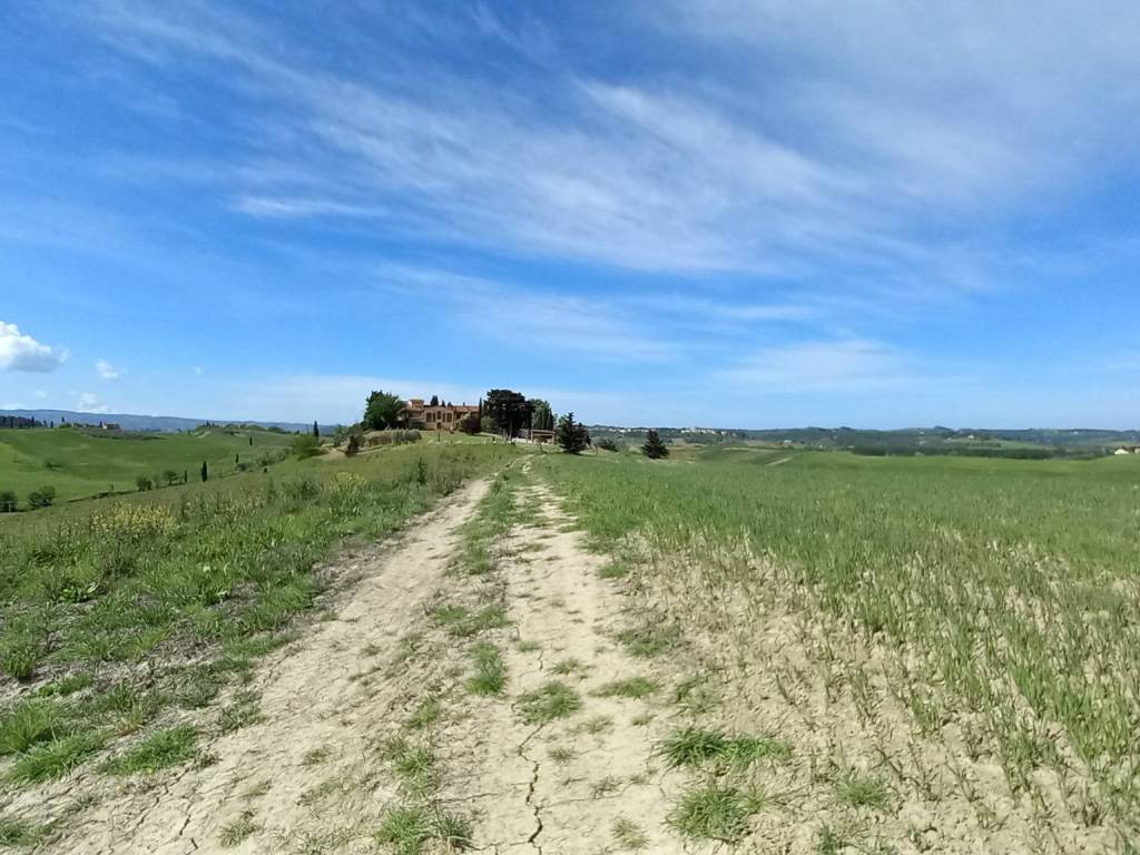 Rustico / casale a Castelfiorentino in Via di Spranganelli - Foto 3