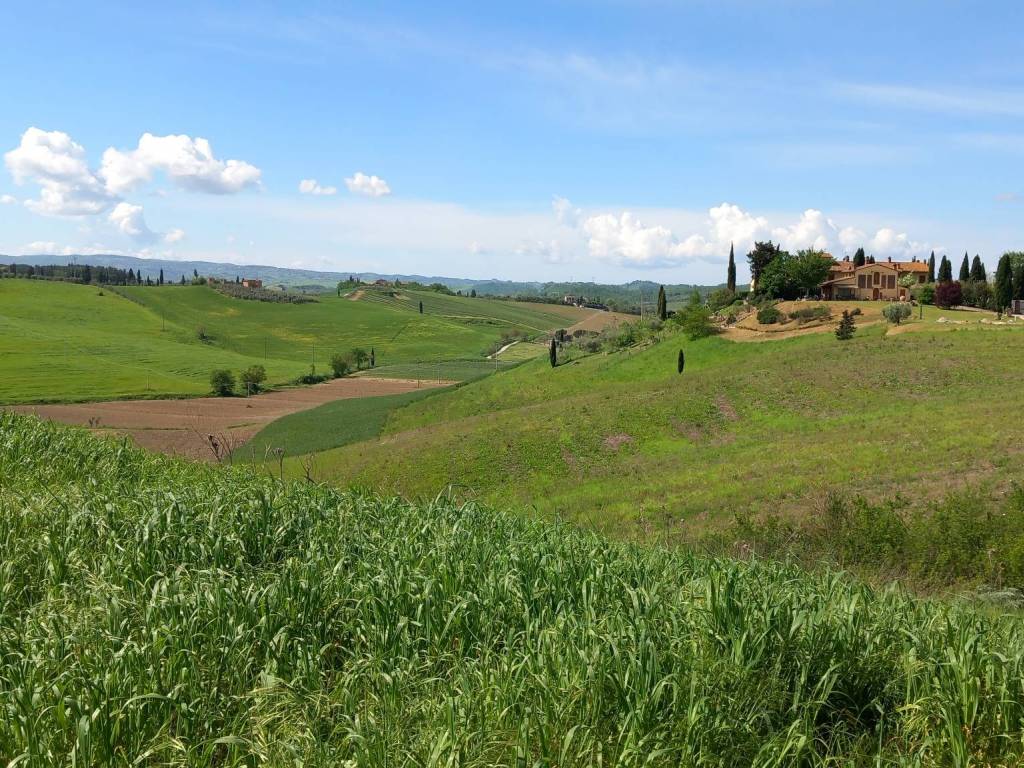 Rustico / casale a Castelfiorentino in Via di Spranganelli - Foto 4