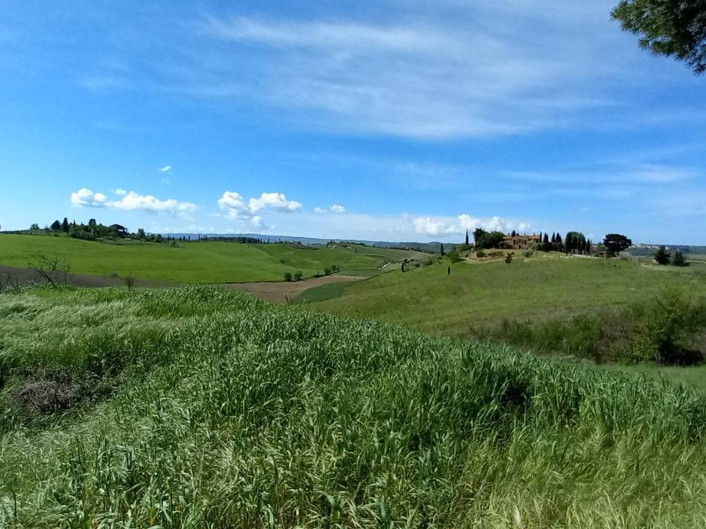 Rustico / casale a Castelfiorentino in Via di Spranganelli - Foto 5