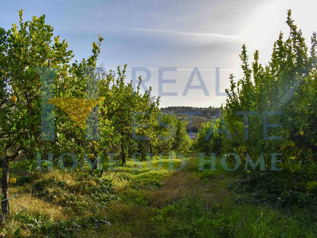 Rustico / casale a Noto in Via Tommaso Fazello, 228 - Foto 2
