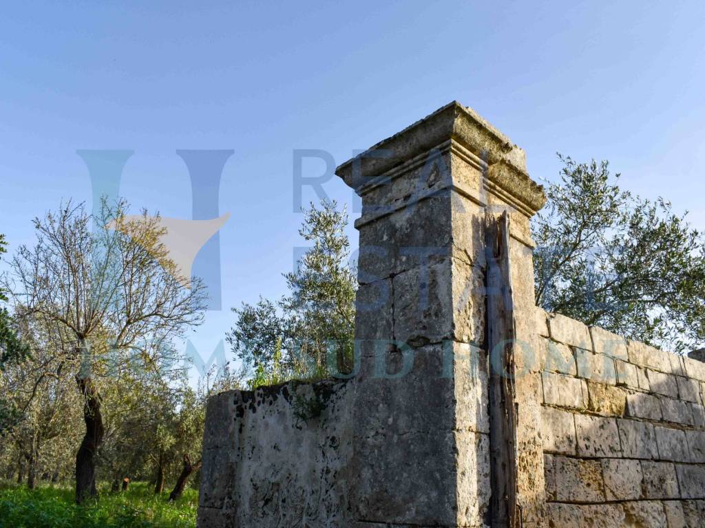 Rustico / casale a Noto in Via Tommaso Fazello, 228 - Foto 5