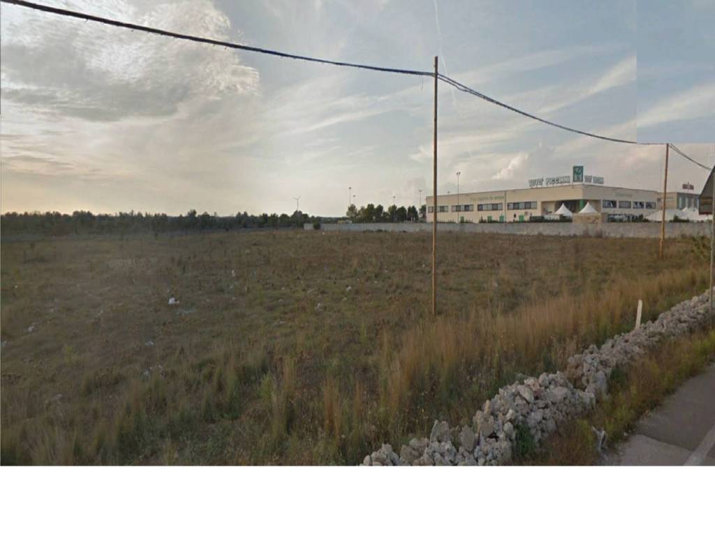 Terreno a Surano in SS275 - Foto 4