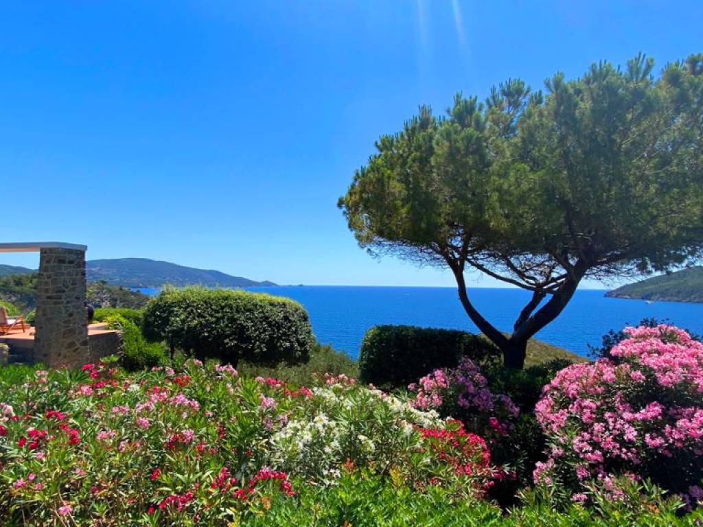 Villa a Capoliveri - Foto 5