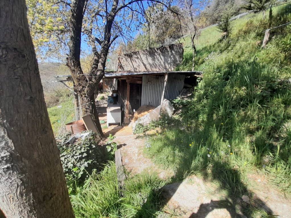 Rustico / casale a Poggio moiano in Strada Statale Licinese - Foto 2