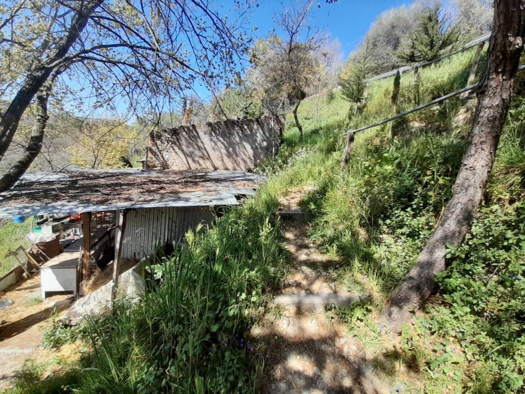 Rustico / casale a Poggio moiano in Strada Statale Licinese - Foto 3