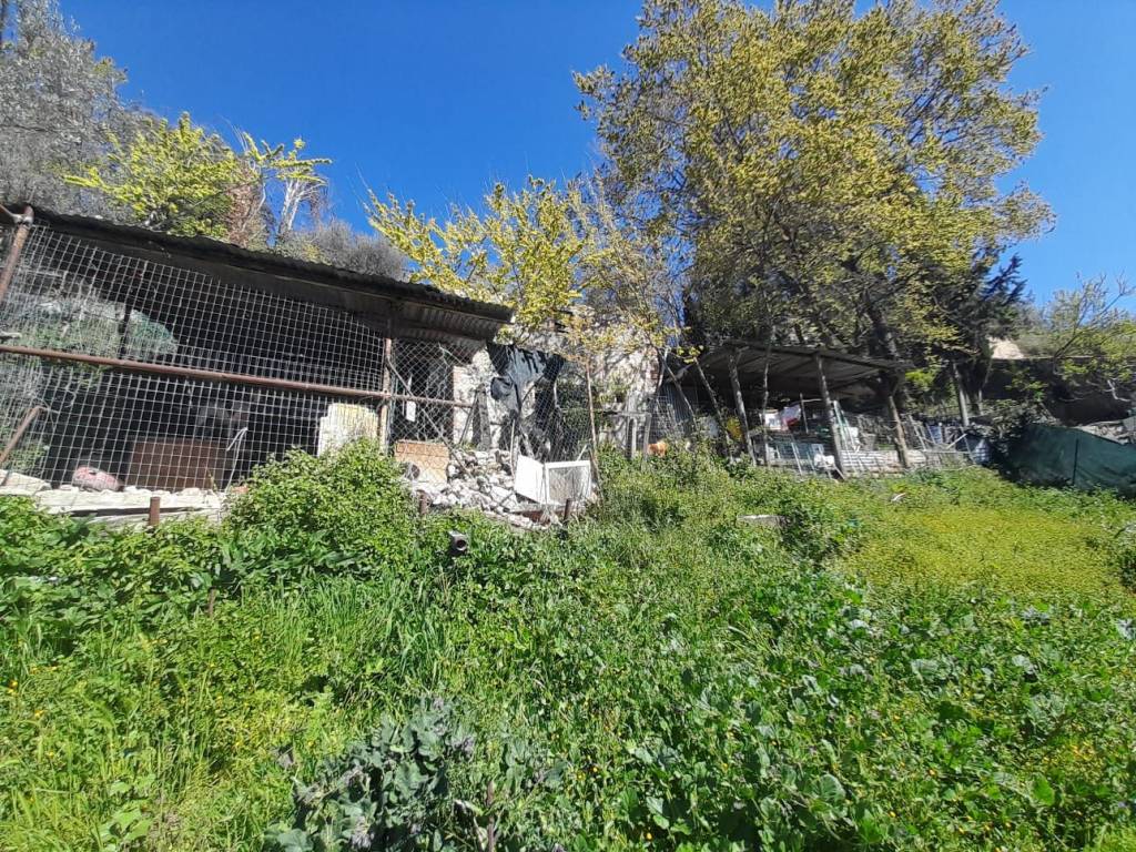 Rustico / casale a Poggio moiano in Strada Statale Licinese - Foto 5