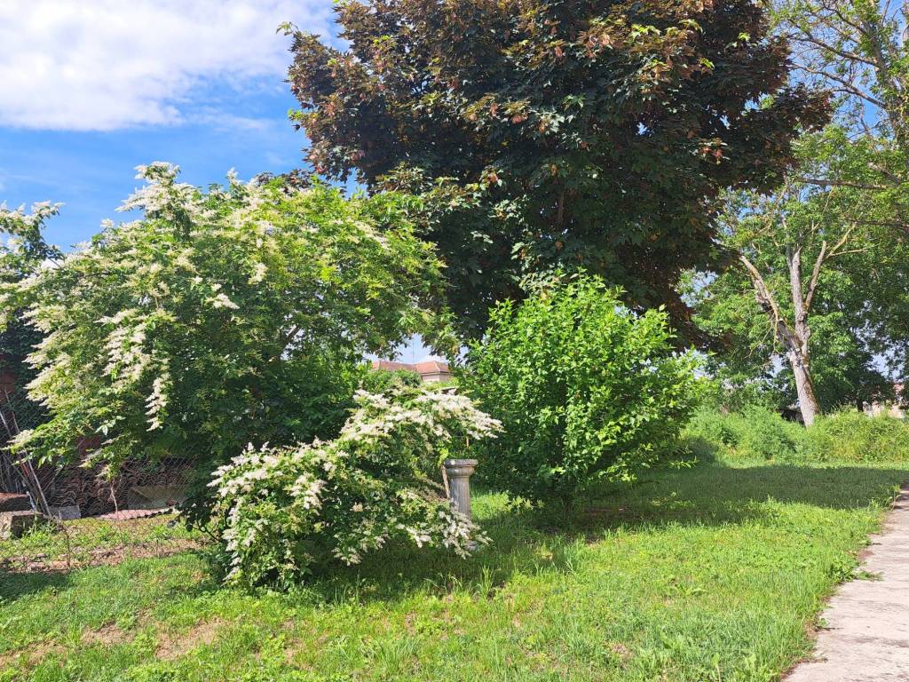 Villa a Isola sant'antonio - Foto 4