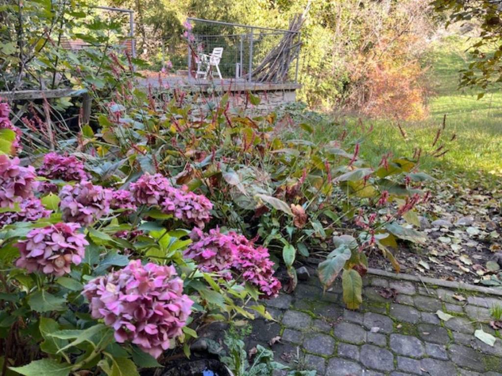 Appartamento a Introd in Plan d'introd - Foto 3