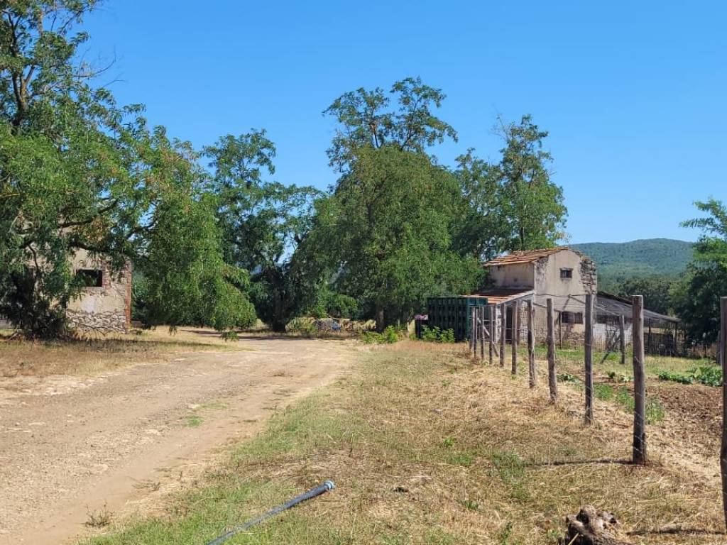 Rustico / casale a Manciano in Strada Provinciale Campigliola - Foto 3