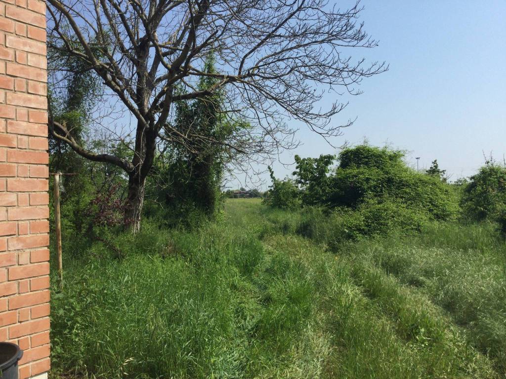 Villa a Vignola - Foto 5