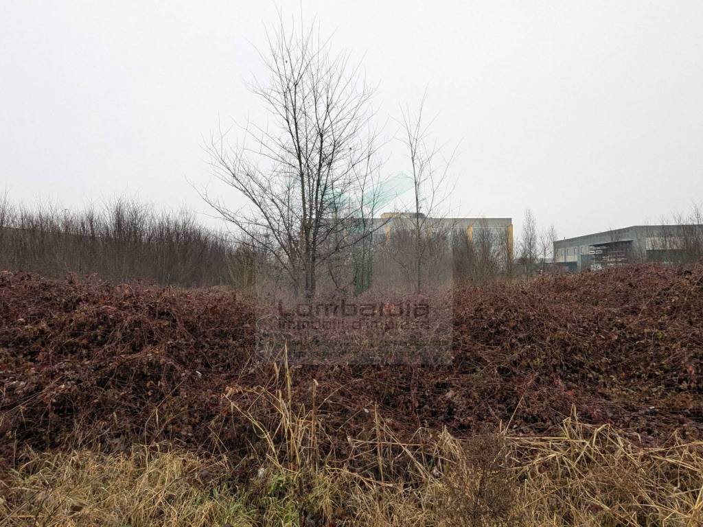 Terreno a Castel san giovanni in Via del Commercio - Foto 4