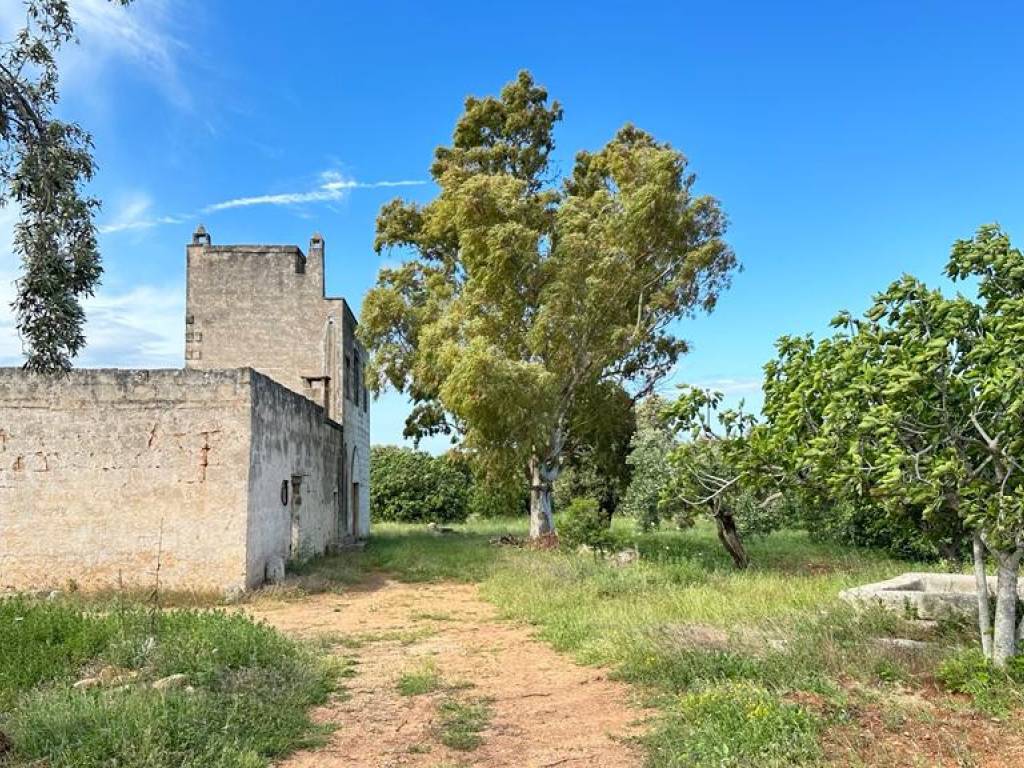 Rustico / casale a Ostuni in Piazza Italia, 21 - Foto 2