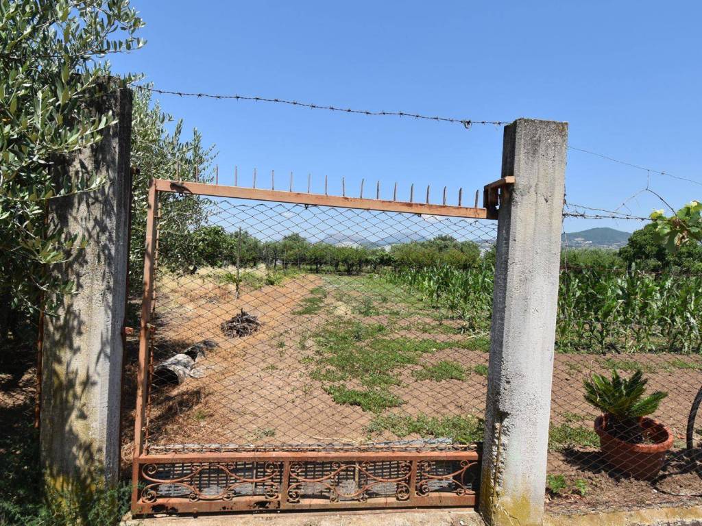 Terreno a Montecorvino pugliano in Via Ragusa - Foto 3