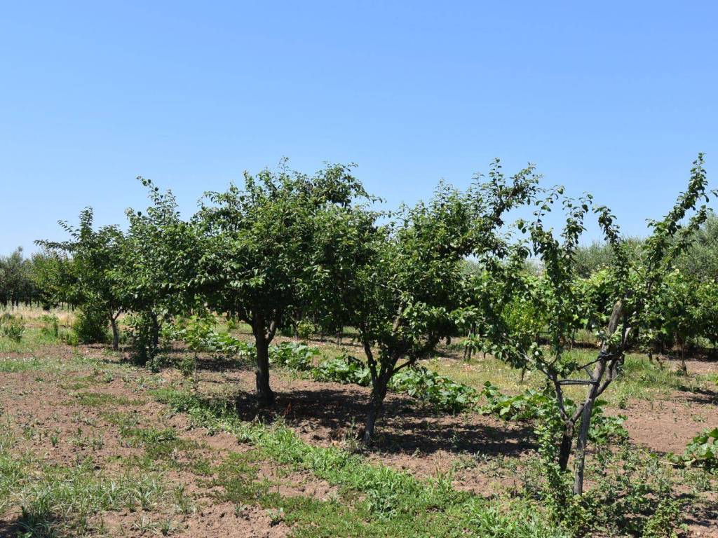 Terreno a Montecorvino pugliano in Via Ragusa - Foto 5
