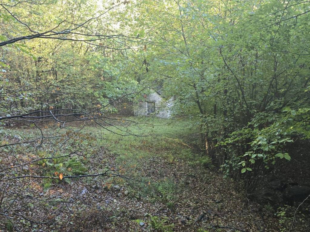 Rustico / casale a Domodossola in Frazione Bei - Foto 4