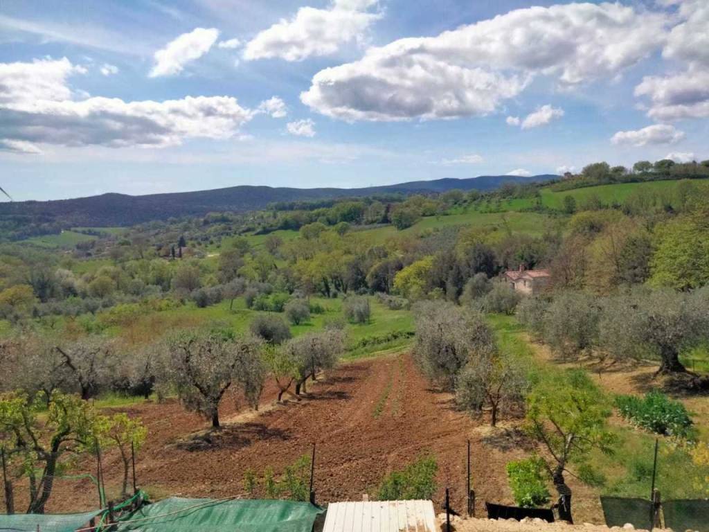 Terreno a Amelia - Foto 4