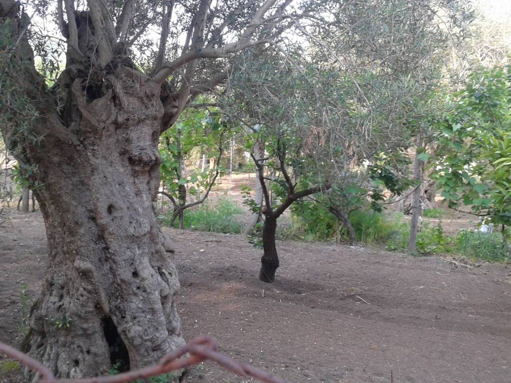 Terreno a Capua in Via Ponte Piazza - Foto 3